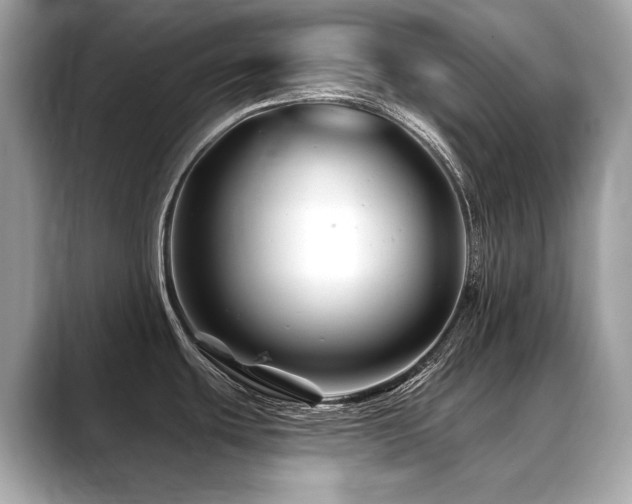 X0000088691439200705311148