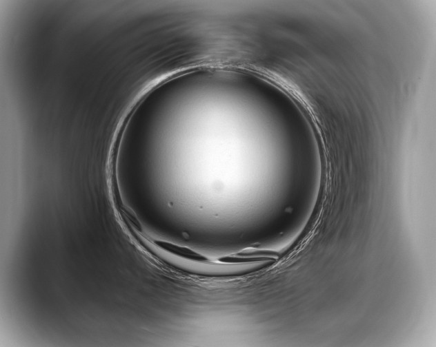 X0000088691440200705311148