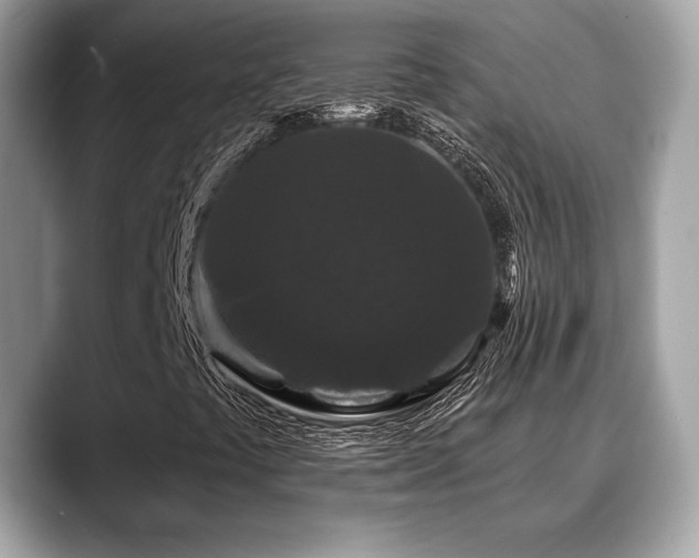 X0000088691441200705311148