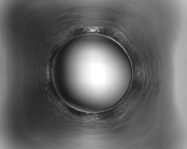 X0000088691442200705311148