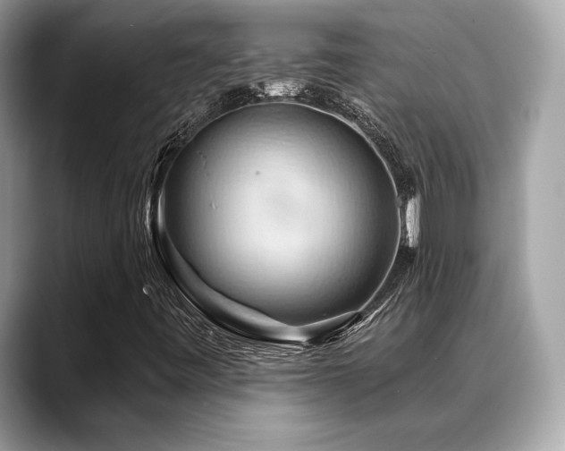 X0000088691443200705311148