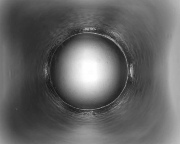 X0000088691444200705311148