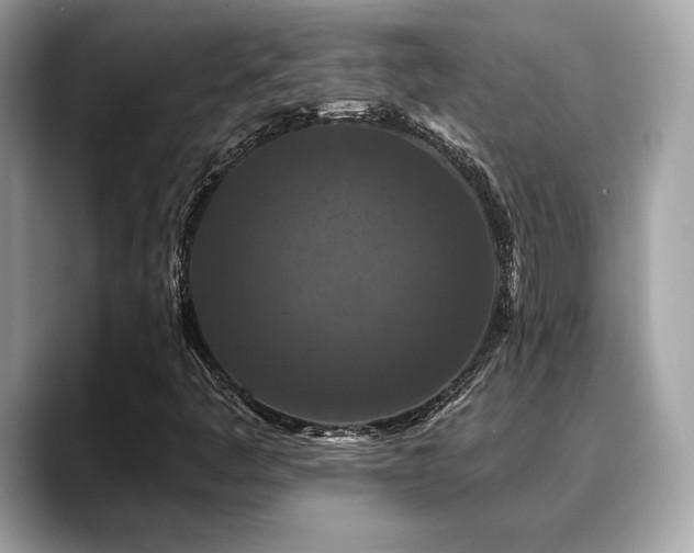 X0000088691445200705311148