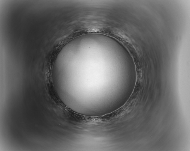 X0000088691446200705311148