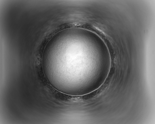 X0000088691447200705311148