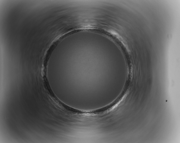 X0000088691449200705311148