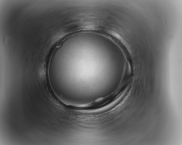 X0000088691450200705311148