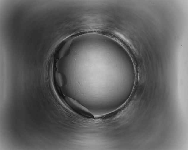 X0000088691453200705311148