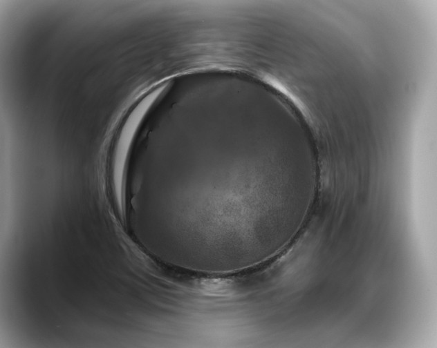 X0000088691459200705311148