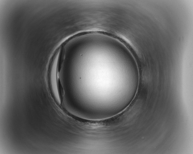 X0000088691460200705311148