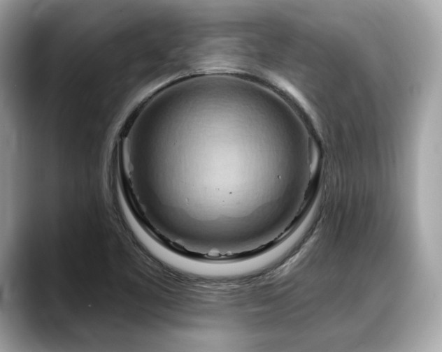X0000088691461200705311148