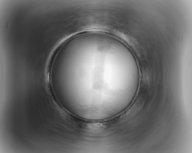 X0000088691462200705311148