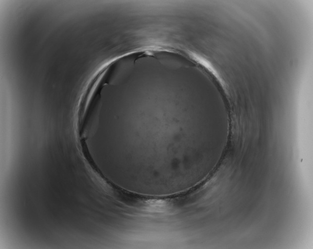 X0000088691463200705311148