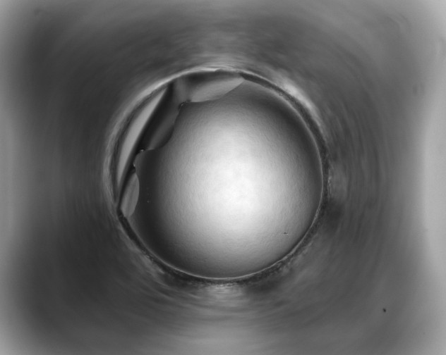 X0000088691464200705311148