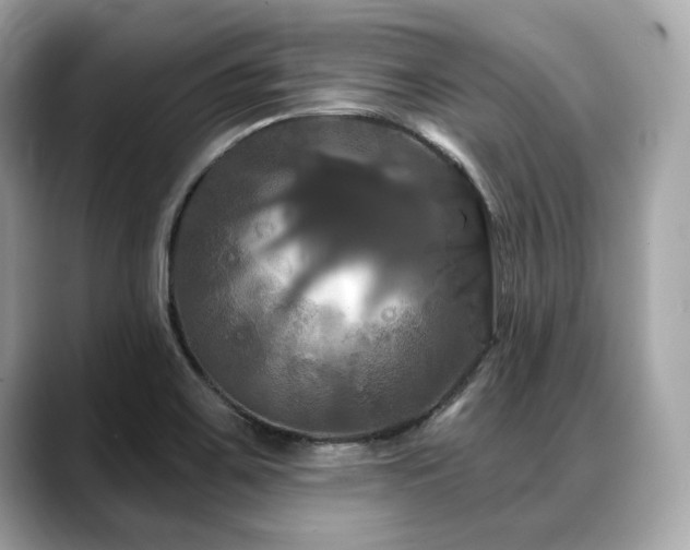 X0000088691467200705311148
