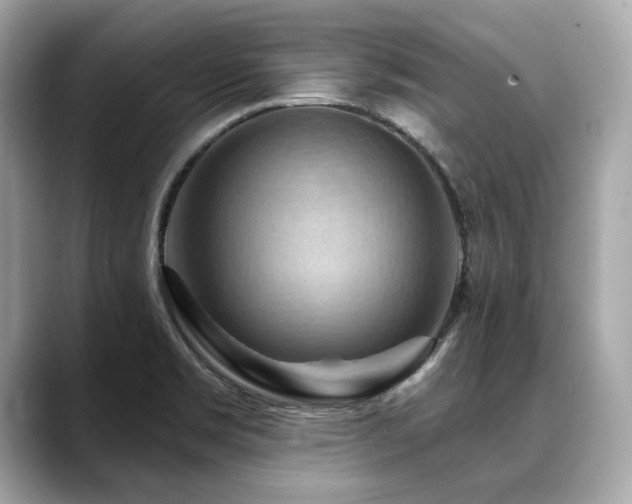 X0000088691469200705311148