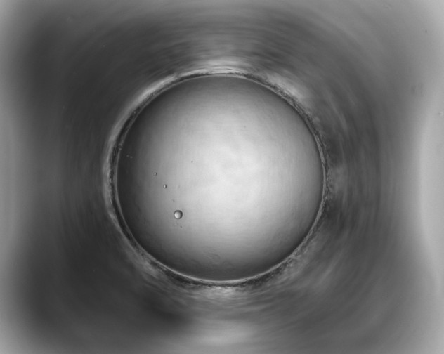 X0000088691470200705311148
