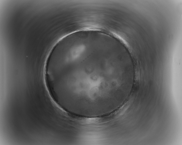 X0000088691471200705311147