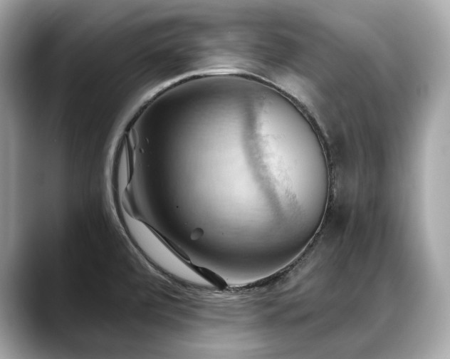 X0000088691472200705311147