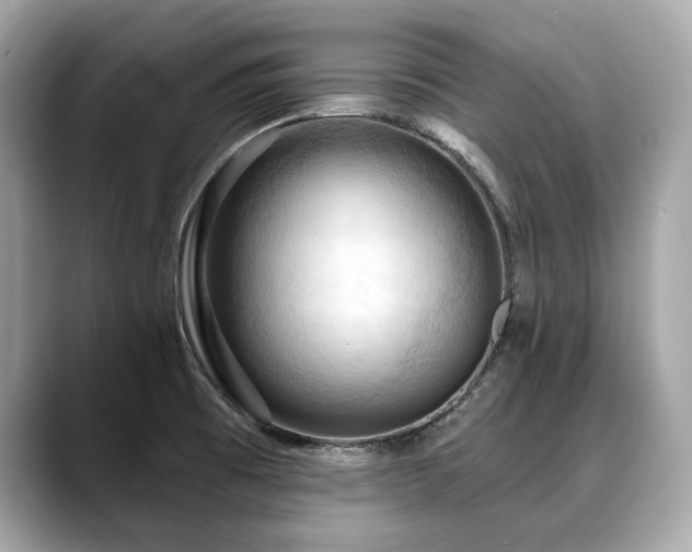 X0000088691473200705311147