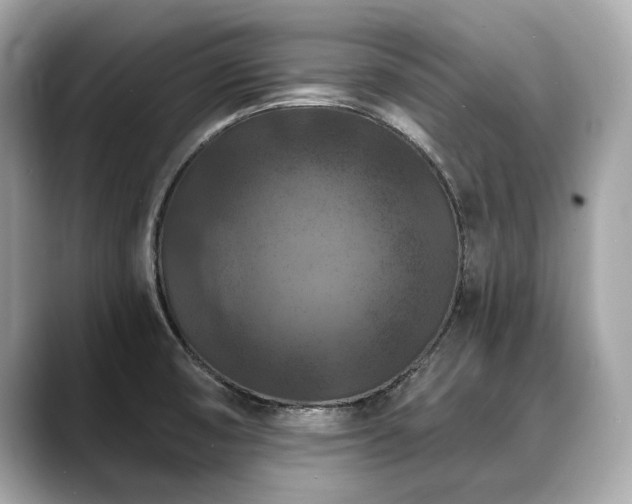 X0000088691474200705311147