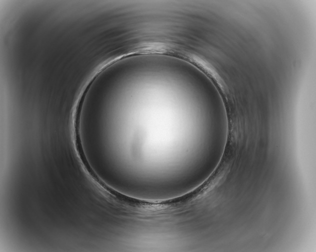 X0000088691475200705311147