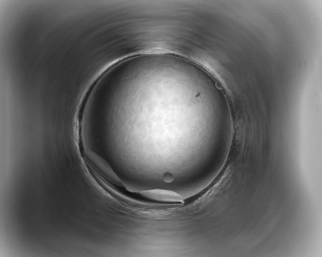 X0000088691476200705311147