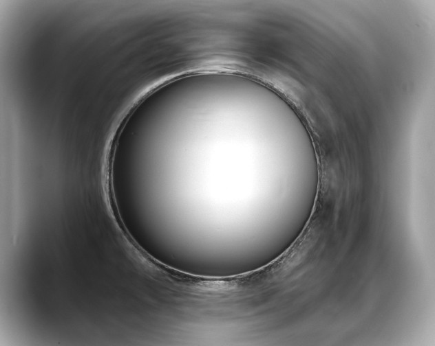 X0000088691478200705311147