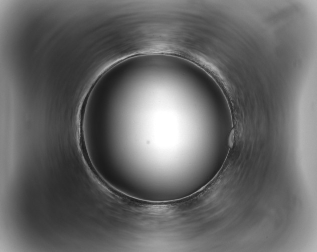 X0000088691479200705311147