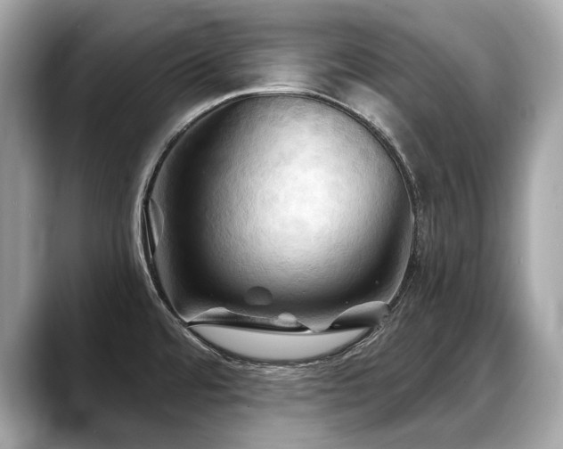 X0000088691480200705311147