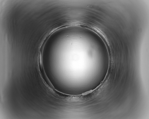X0000088691481200705311147