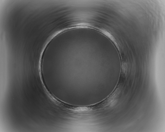X0000088691482200705311147