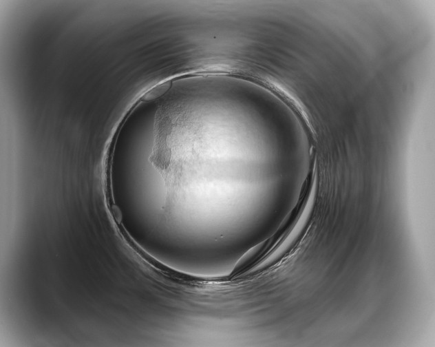 X0000088691483200705311147