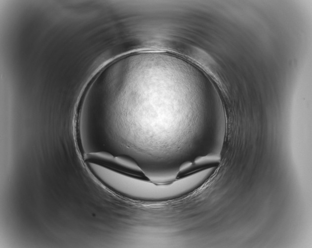 X0000088691484200705311147