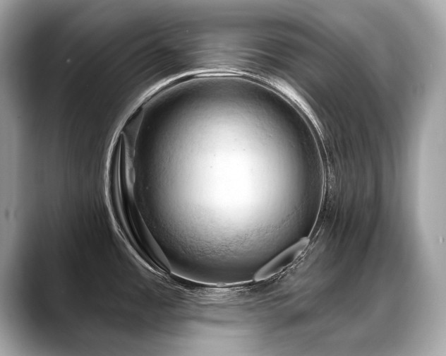 X0000088691485200705311147