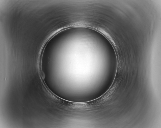 X0000088691486200705311147