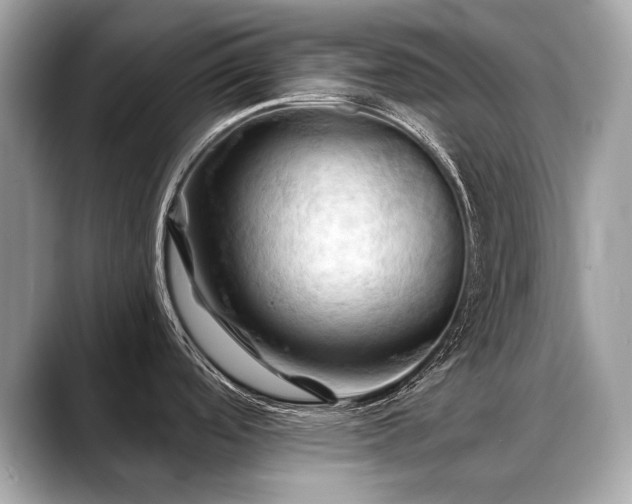 X0000088691488200705311147