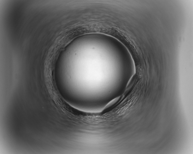 X0000088691489200705311147