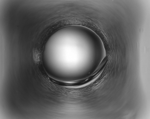 X0000088691490200705311147