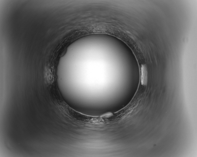 X0000088691491200705311147