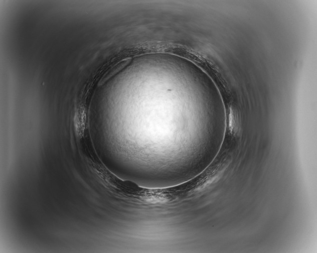 X0000088691492200705311147