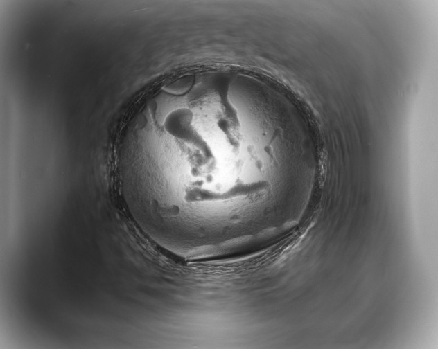 X0000088691494200705311147