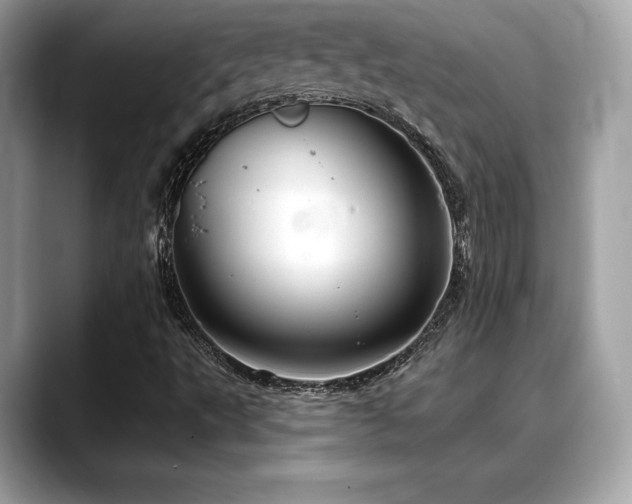X0000088691495200705311147