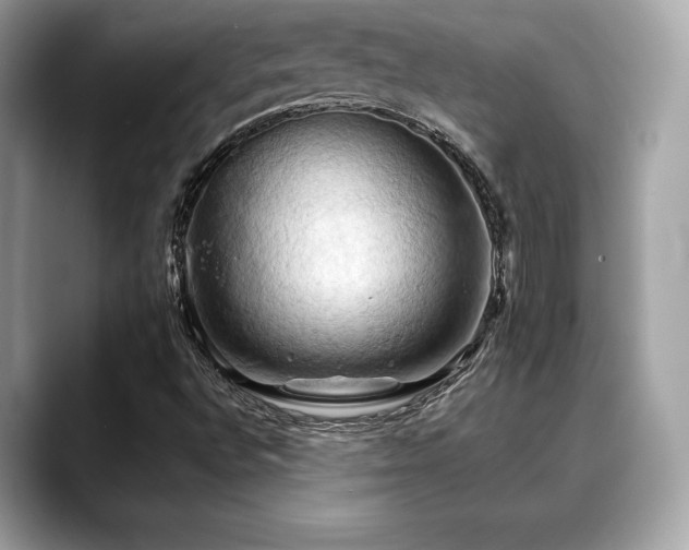 X0000088691496200705311147