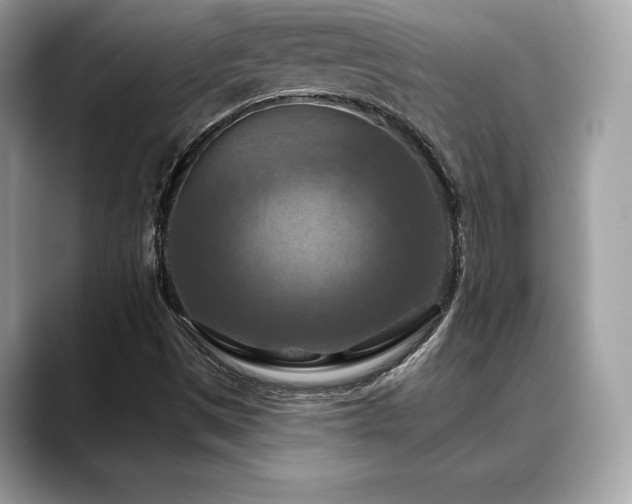X0000088691497200705311147