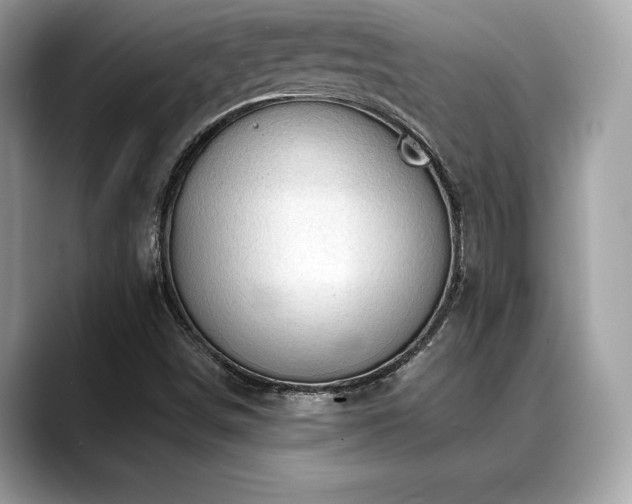 X0000088691498200705311147