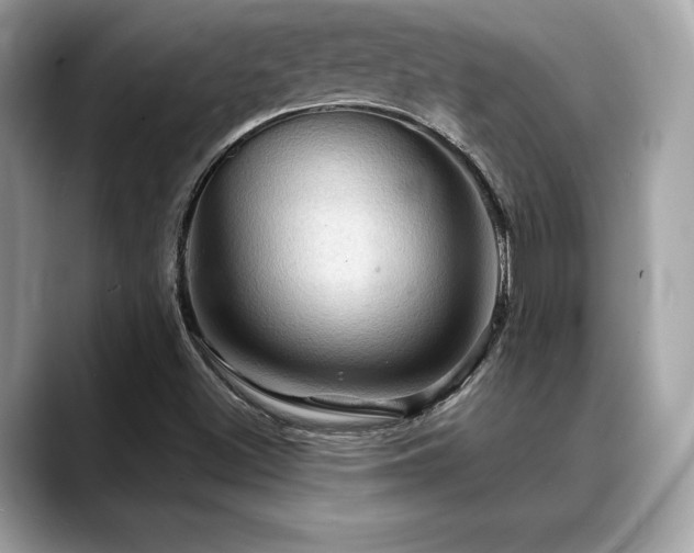 X0000088691500200705311147