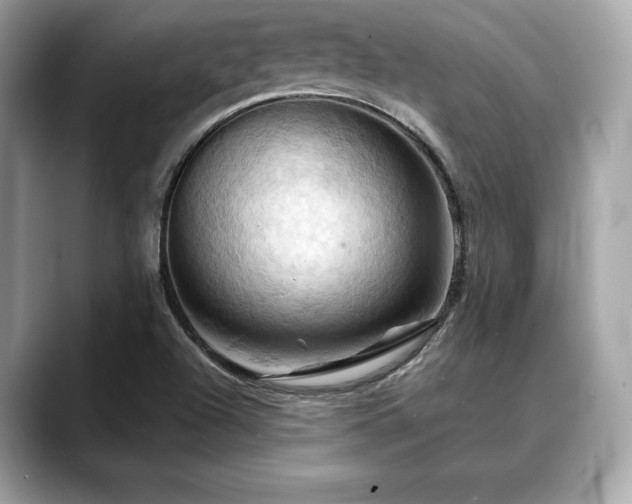 X0000088691504200705311147