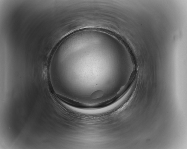X0000088691505200705311147