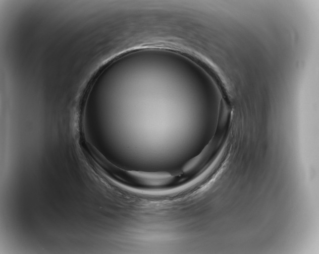 X0000088691506200705311147